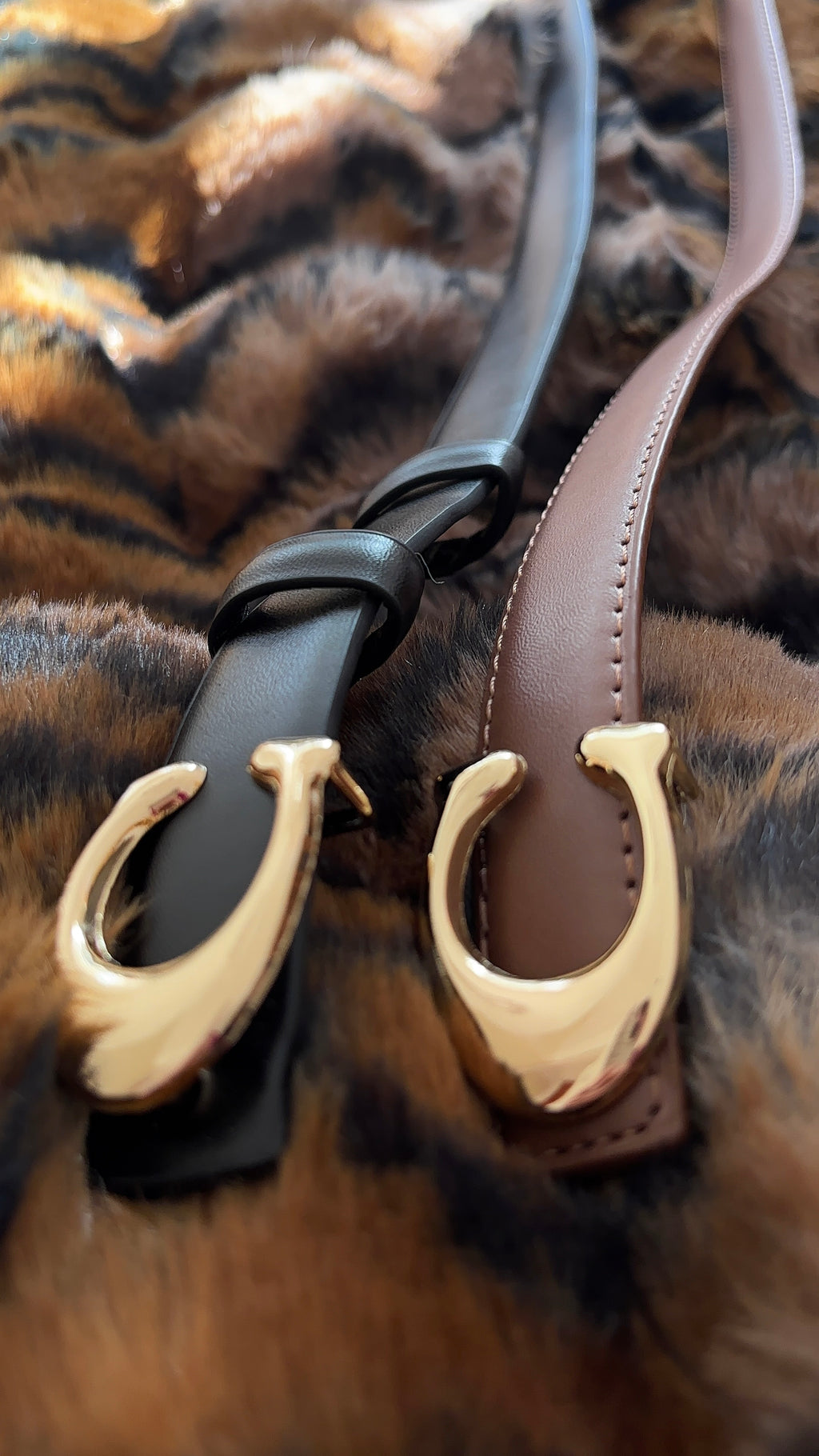 C Belt