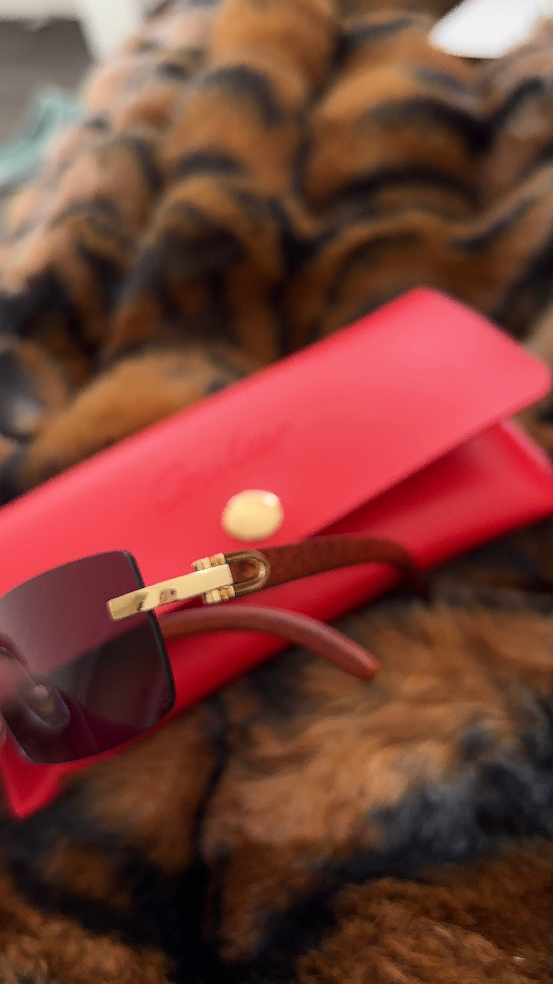 Sunglasses
